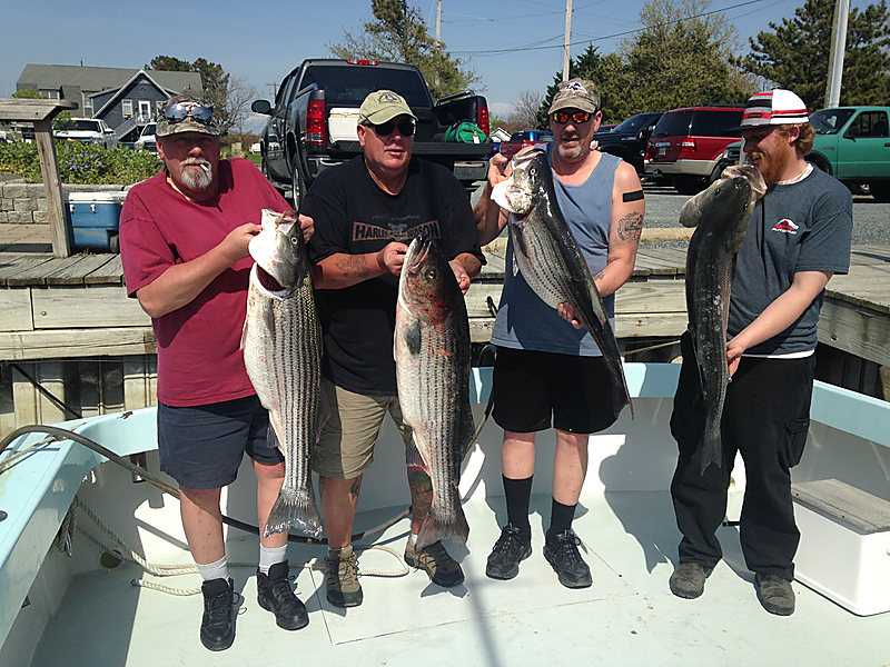 Four anglers on the deck, each holding a big rockfish